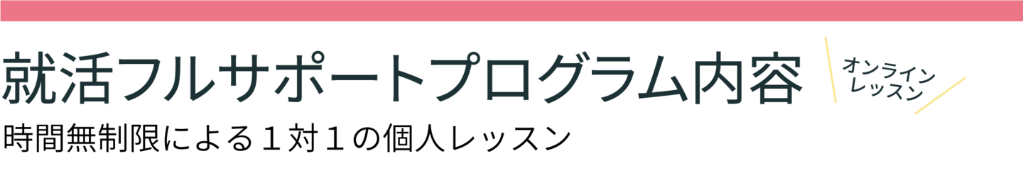 就活するサポートプログラム内容